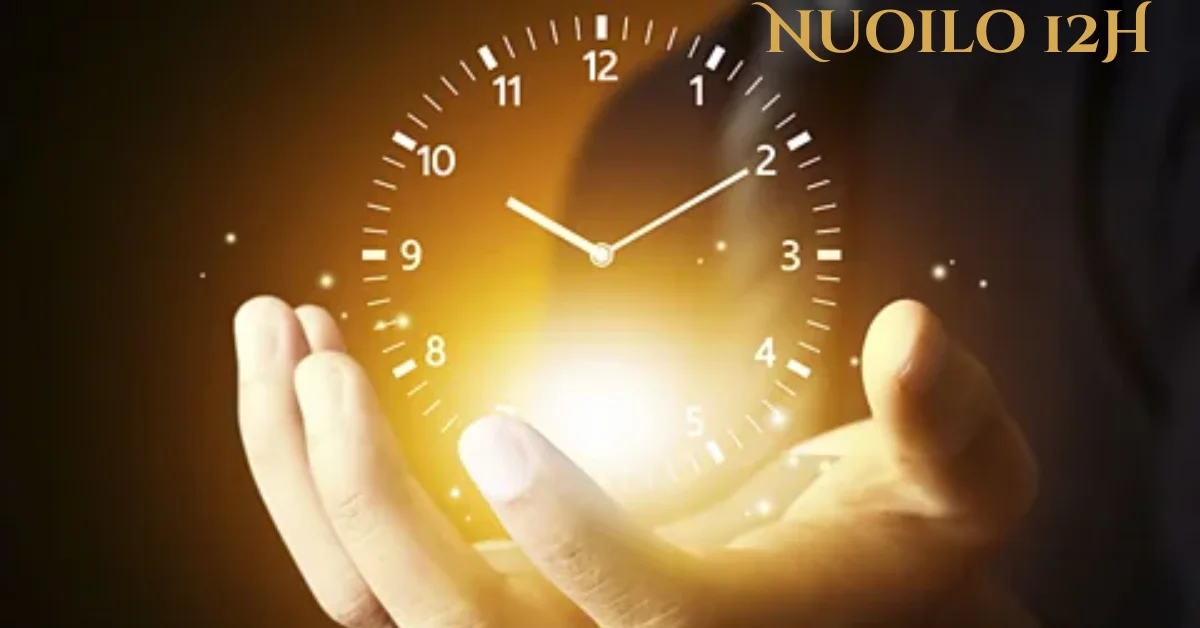 Complete Guide to Nuoilo 12H: Performance, Innovation, and Everyday Brilliance