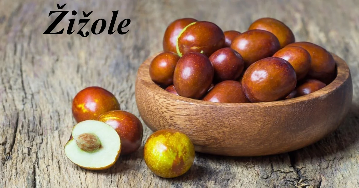 Žižole (Jujube): The Ancient Superfruit with Modern Health Benefits