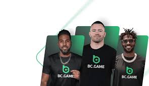Unlocking the Potential Understanding BC.Game ID